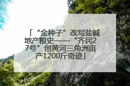 “金种子”改写盐碱地产粮史——“齐民27号”创黄河三角洲亩产1200斤奇迹
