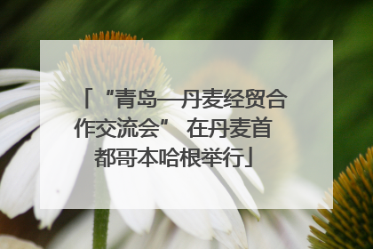 “青岛—丹麦经贸合作交流会” 在丹麦首都哥本哈根举行