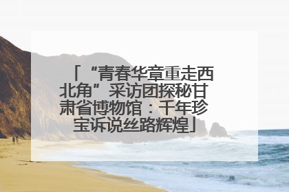 “青春华章重走西北角”采访团探秘甘肃省博物馆：千年珍宝诉说丝路辉煌