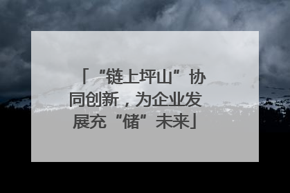 “链上坪山”协同创新，为企业发展充“储”未来