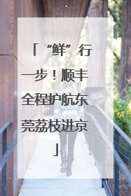 “鲜”行一步！顺丰全程护航东莞荔枝进京