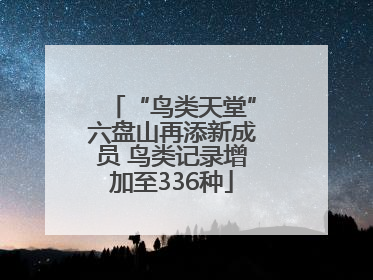 “鸟类天堂”六盘山再添新成员 鸟类记录增加至336种