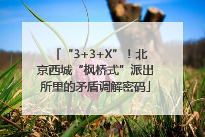 “3+3+X”！北京西城“枫桥式”派出所里的矛盾调解密码