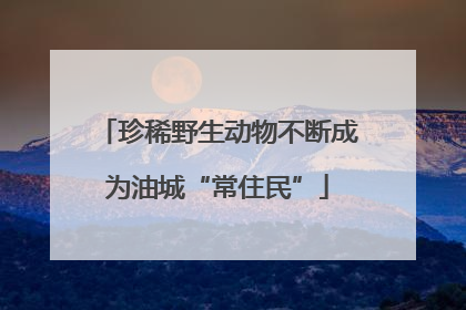 珍稀野生动物不断成为油城“常住民”