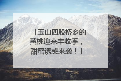 玉山四股桥乡的黄桃迎来丰收季，甜蜜诱惑来袭！
