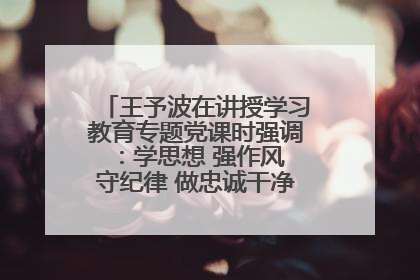 王予波在讲授学习教育专题党课时强调：学思想 强作风 守纪律 做忠诚干净担当的共产党员