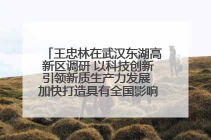 王忠林在武汉东湖高新区调研 以科技创新引领新质生产力发展 加快打造具有全国影响力的科技创新高地