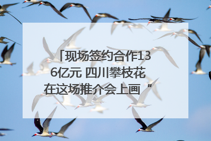 现场签约合作136亿元 四川攀枝花在这场推介会上画“图谱”列“清单”