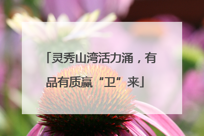 灵秀山湾活力涌，有品有质赢“卫”来