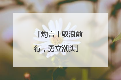 灼言丨驭浪前行，勇立潮头