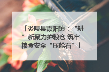 炎陵县霞阳镇：“耕”新聚力护粮仓 筑牢粮食安全“压舱石”