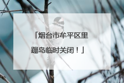 烟台市牟平区里蹦岛临时关闭！