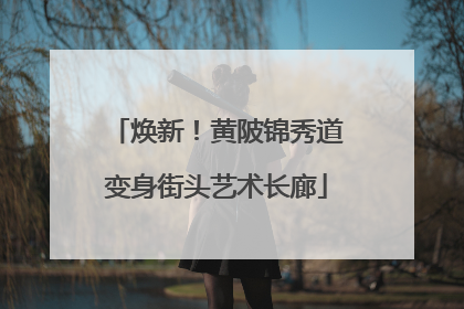 焕新！黄陂锦秀道变身街头艺术长廊