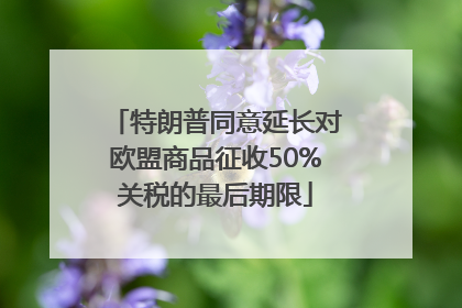 特朗普同意延长对欧盟商品征收50%关税的最后期限