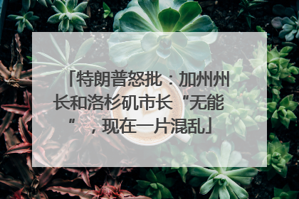 特朗普怒批：加州州长和洛杉矶市长“无能”，现在一片混乱