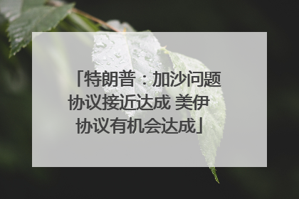 特朗普：加沙问题协议接近达成 美伊协议有机会达成