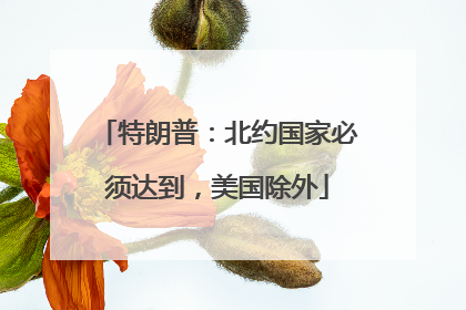 特朗普：北约国家必须达到，美国除外