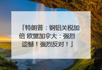 特朗普：钢铝关税加倍 欧盟加拿大：强烈遗憾！强烈反对！