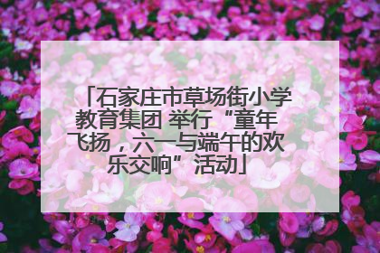 石家庄市草场街小学教育集团 举行“童年飞扬，六一与端午的欢乐交响”活动