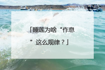 睡莲为啥“作息”这么规律？