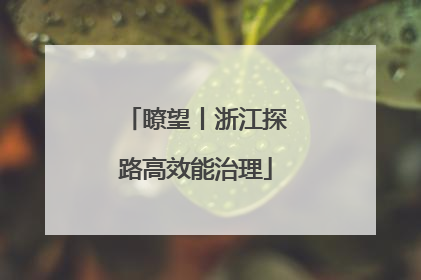 瞭望丨浙江探路高效能治理