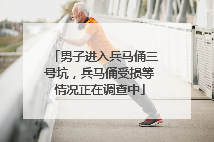 男子进入兵马俑三号坑，兵马俑受损等情况正在调查中