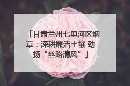 甘肃兰州七里河区烟草：深耕廉洁土壤 劲扬“丝路清风”