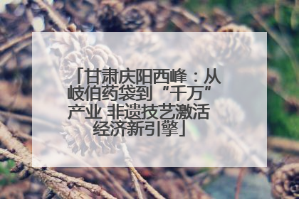 甘肃庆阳西峰：从岐伯药袋到“千万”产业 非遗技艺激活经济新引擎