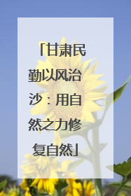 甘肃民勤以风治沙：用自然之力修复自然