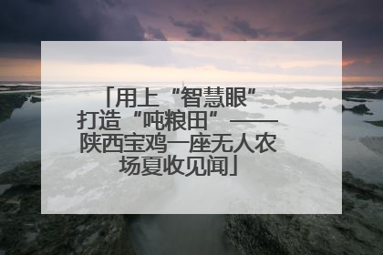用上“智慧眼” 打造“吨粮田”——陕西宝鸡一座无人农场夏收见闻