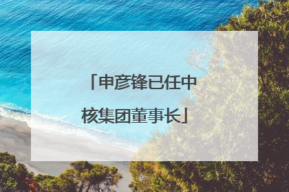 申彦锋已任中核集团董事长