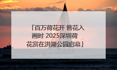 百万荷花开 簪花入画时 2025深圳荷花赏在洪湖公园启幕