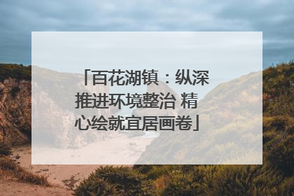 百花湖镇：纵深推进环境整治 精心绘就宜居画卷