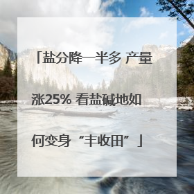 盐分降一半多 产量涨25% 看盐碱地如何变身“丰收田”