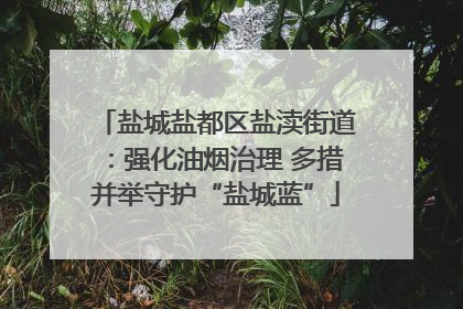盐城盐都区盐渎街道：强化油烟治理 多措并举守护“盐城蓝”