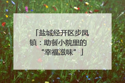 盐城经开区步凤镇：助餐小院里的“幸福滋味”