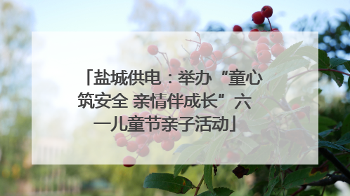 盐城供电：举办“童心筑安全 亲情伴成长”六一儿童节亲子活动