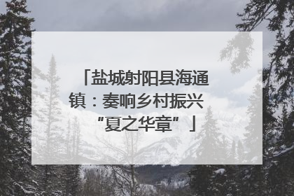 盐城射阳县海通镇：奏响乡村振兴“夏之华章”