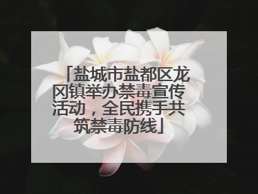 盐城市盐都区龙冈镇举办禁毒宣传活动，全民携手共筑禁毒防线