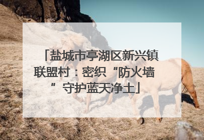 盐城市亭湖区新兴镇联盟村：密织“防火墙”守护蓝天净土