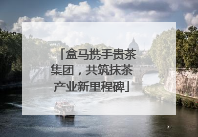 盒马携手贵茶集团，共筑抹茶产业新里程碑