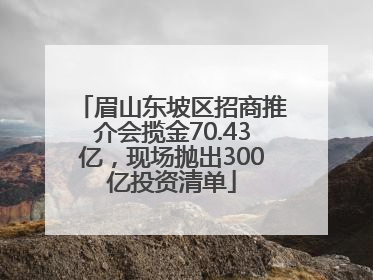 眉山东坡区招商推介会揽金70.43亿，现场抛出300亿投资清单