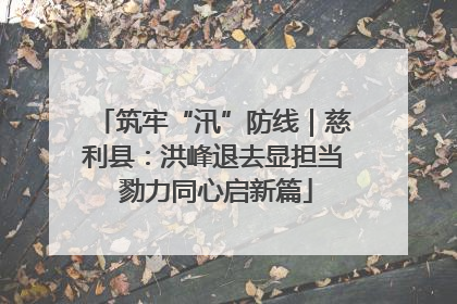 筑牢“汛”防线｜慈利县：洪峰退去显担当 勠力同心启新篇