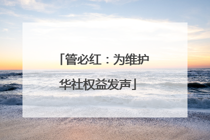管必红：为维护华社权益发声