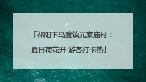 祁阳下马渡镇元家庙村：夏日荷花开 游客打卡热