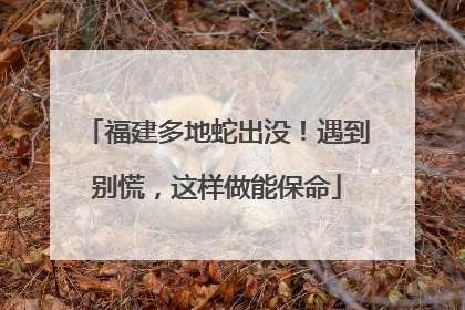 福建多地蛇出没！遇到别慌，这样做能保命