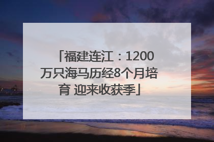 福建连江：1200万只海马历经8个月培育 迎来收获季