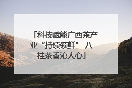 科技赋能广西茶产业“持续领鲜” 八桂茶香沁人心