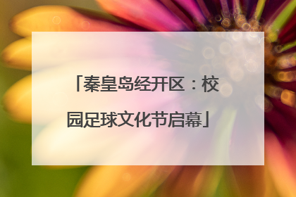 秦皇岛经开区：校园足球文化节启幕