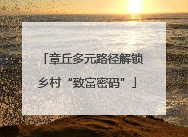 章丘多元路径解锁乡村“致富密码”